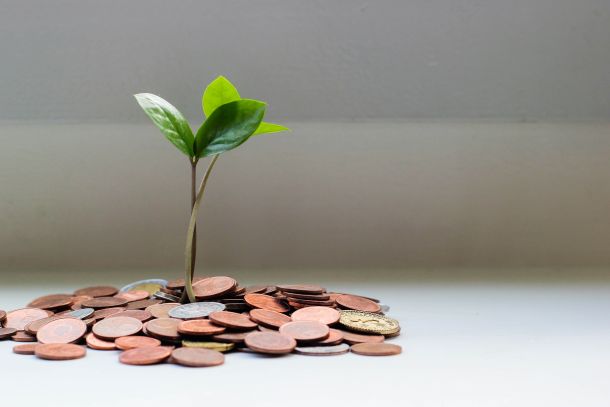 Plant growing out of change