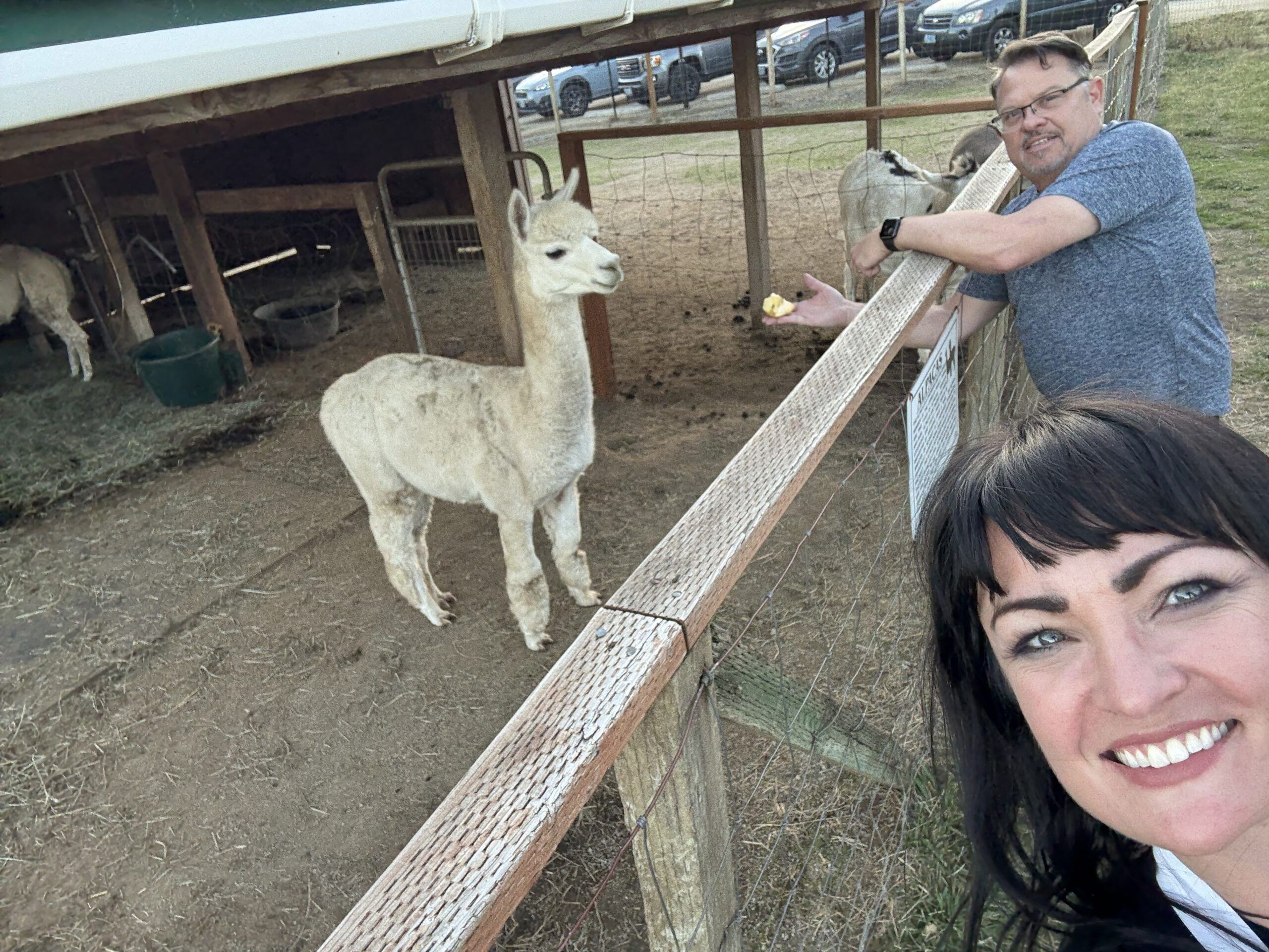 John Warekois and Employee taking a selfie with a llama