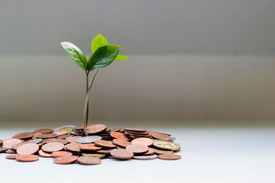 Image of plant growing out of change