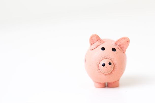 Piggy bank in front of a white background